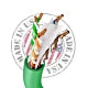 Cat6a Plenum Pure Copper ETL Listed UTP Cable - 23 AWG 750MHz